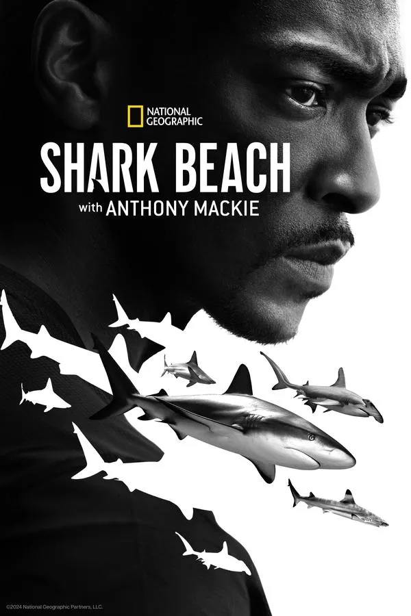 Anthony Mackie ja Meksikonlahden hairanta