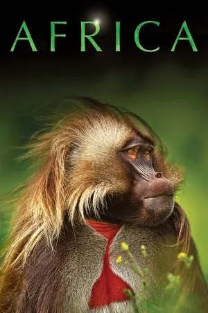 Afrikka