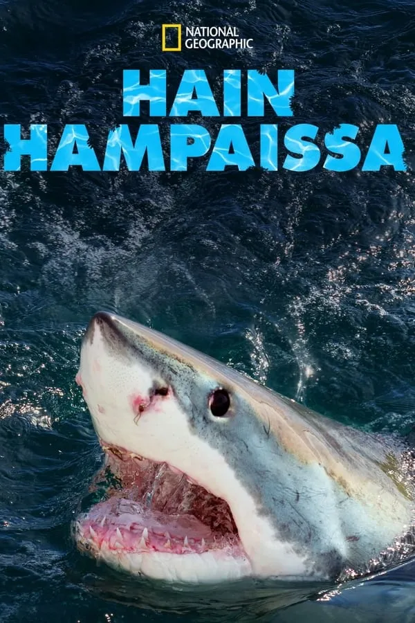 Hain hampaissa