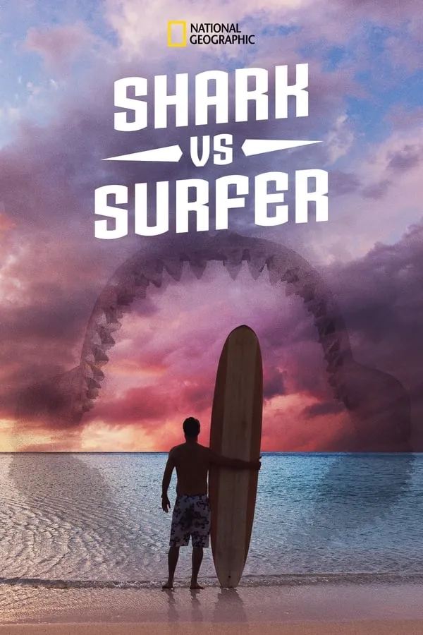 Hai vs. surffari