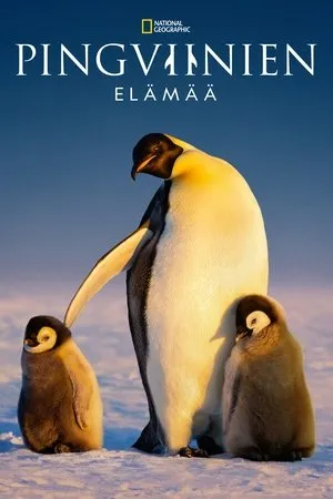 Pingviinien elämää