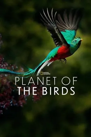 Lintujen planeetta