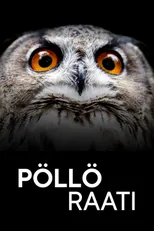 Pöllöraati
